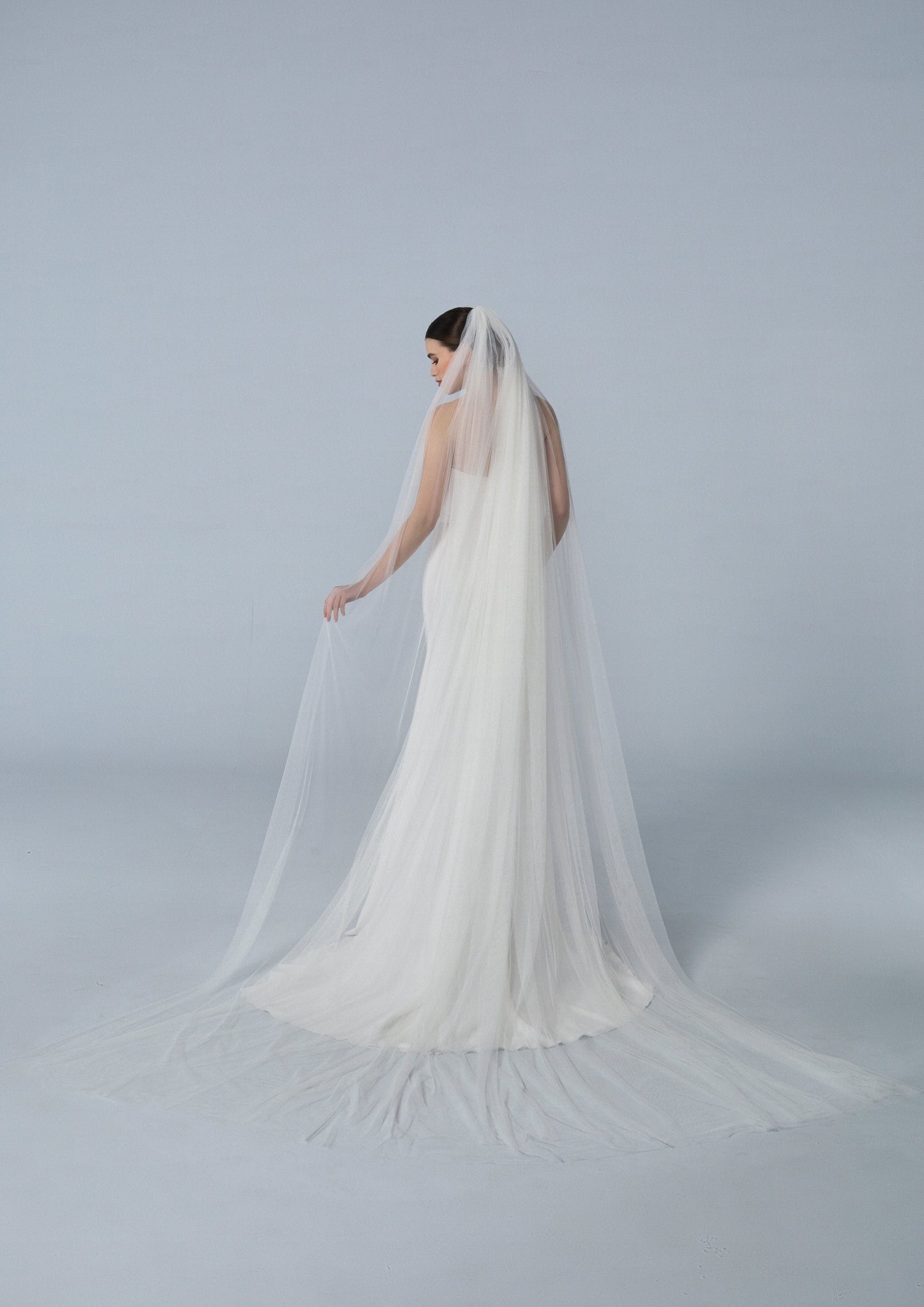 Veil 2007