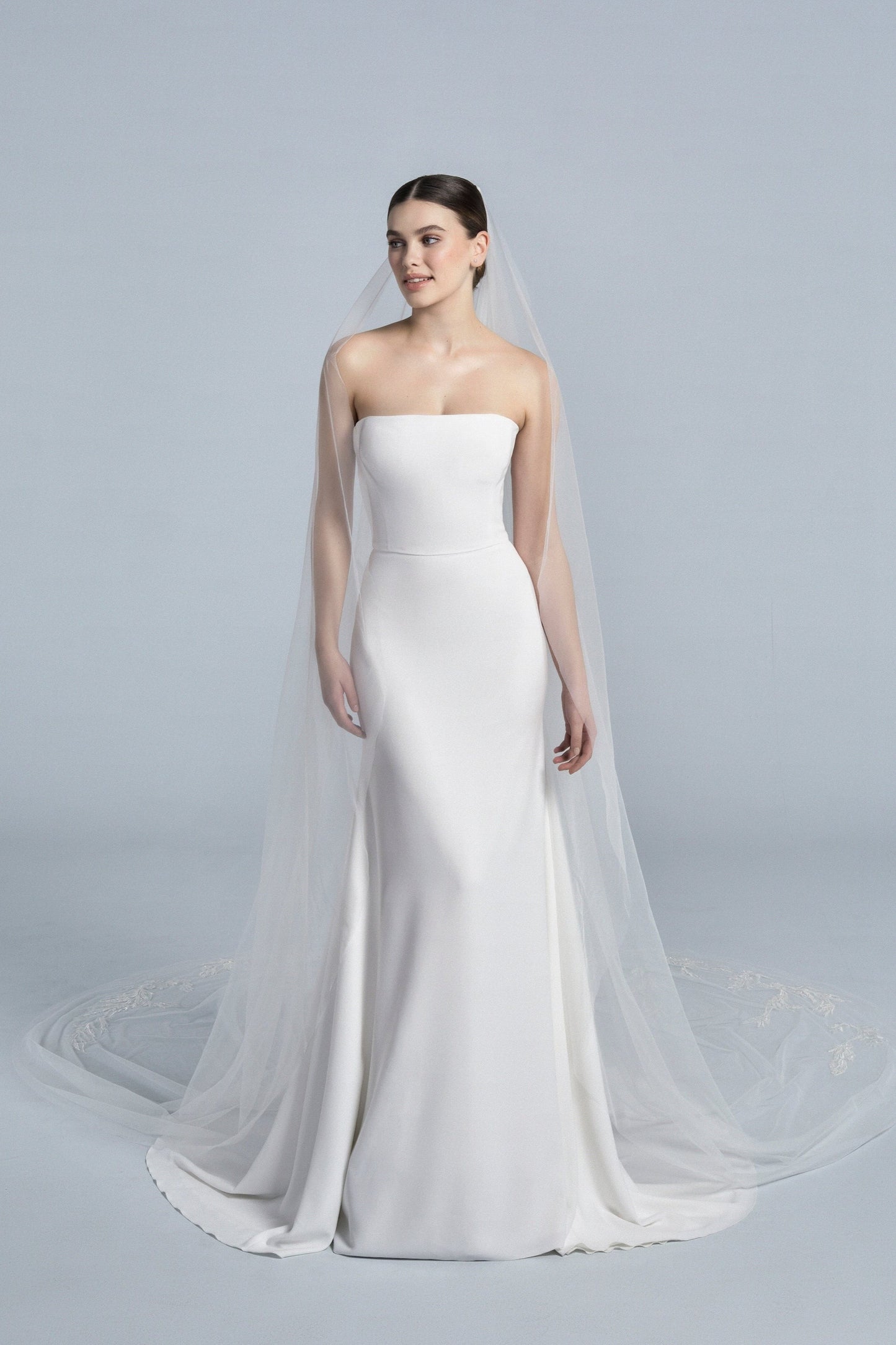 Veil 2104