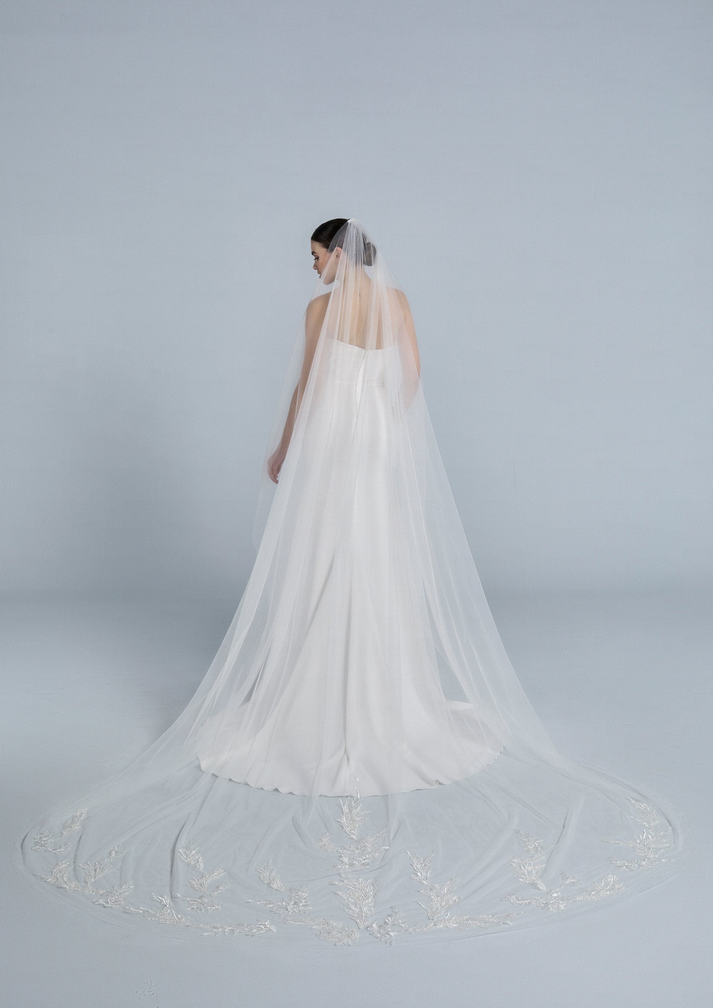 Veil 2104