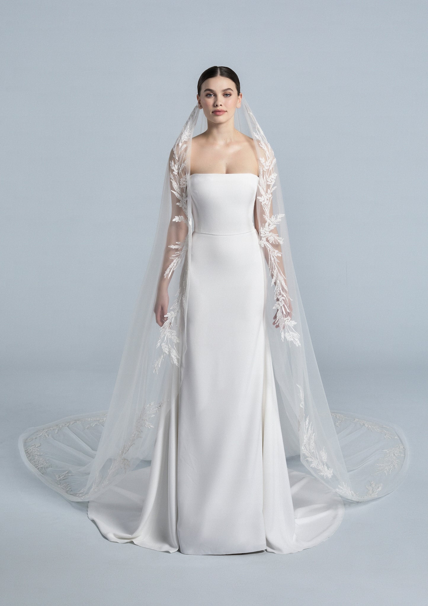 Veil 2105