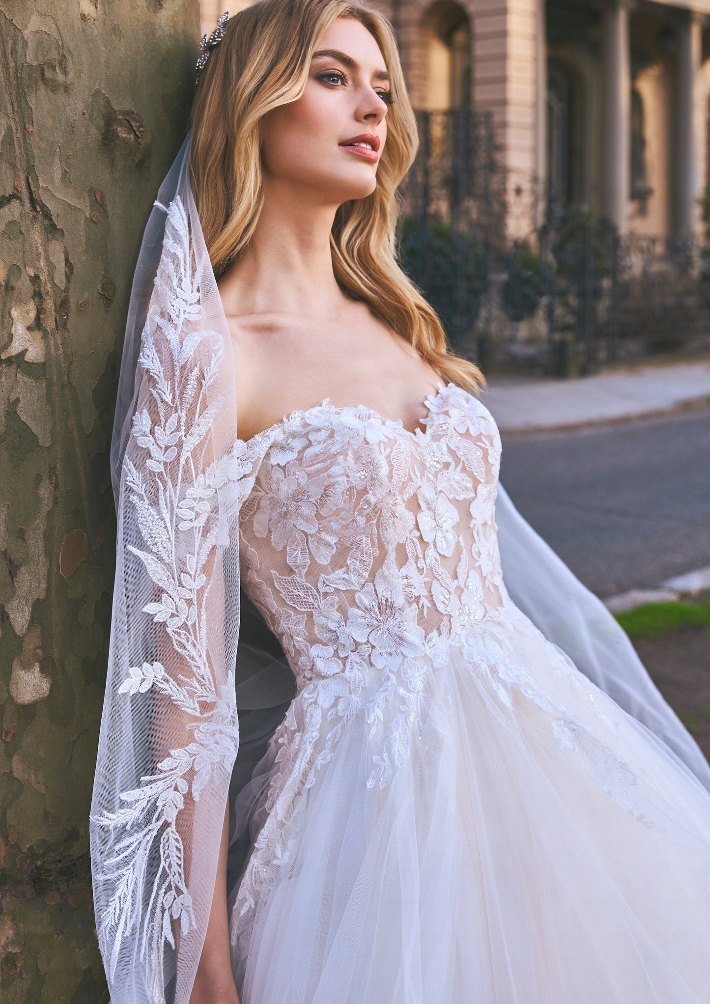 Veil 2105