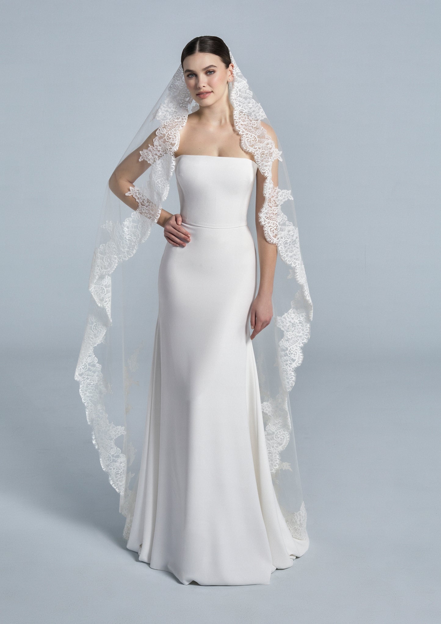 Veil 2877