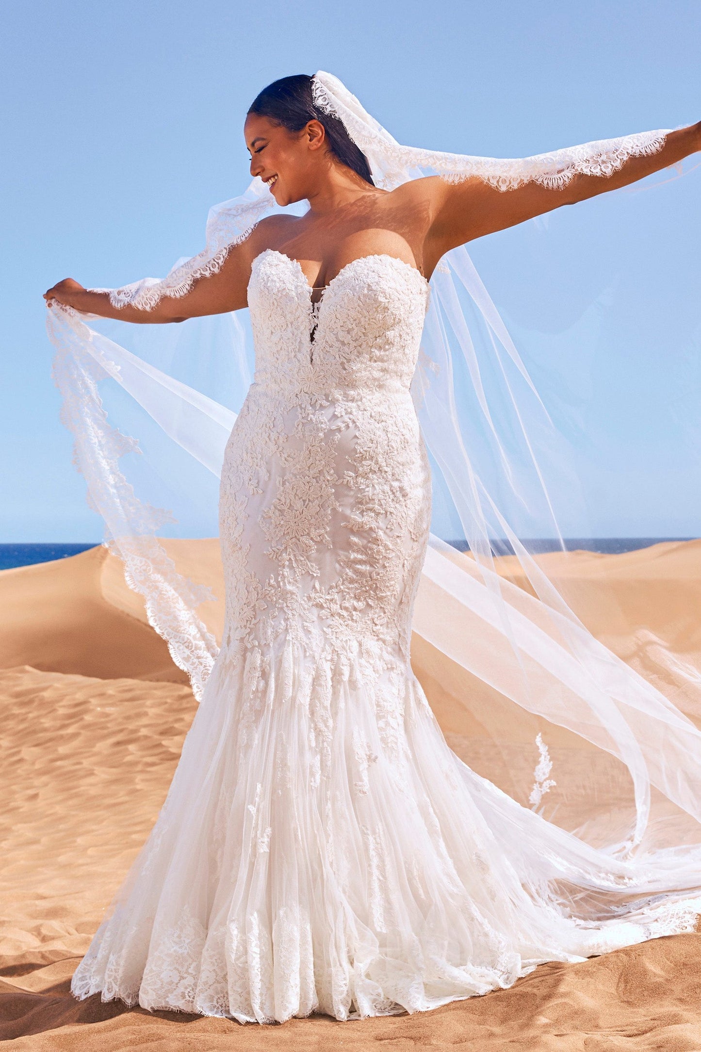 Veil 2877