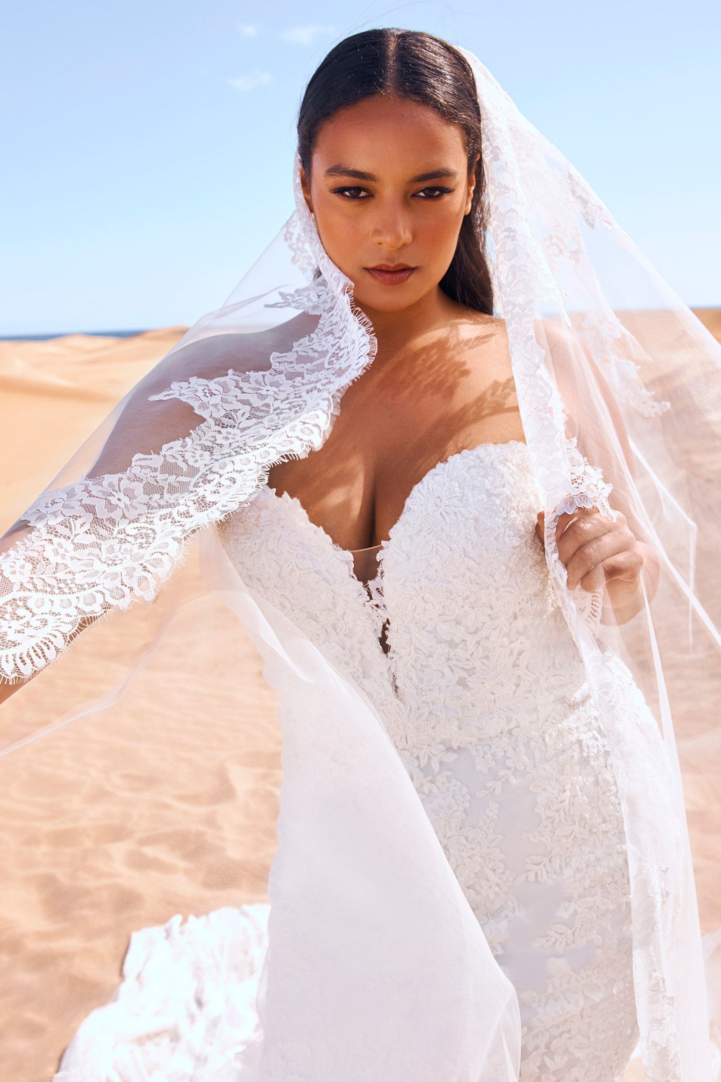 Veil 2877