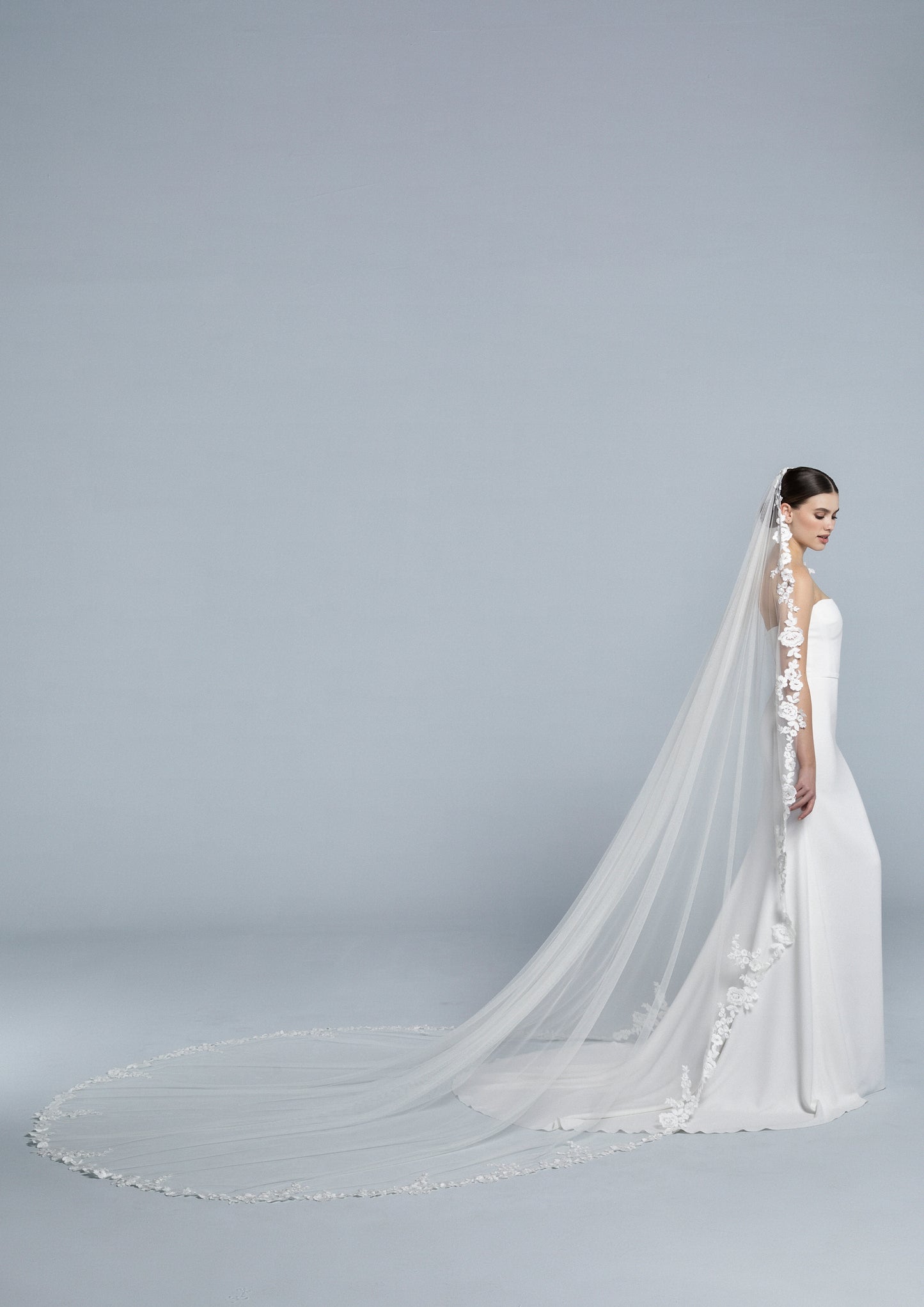 Veil 2911
