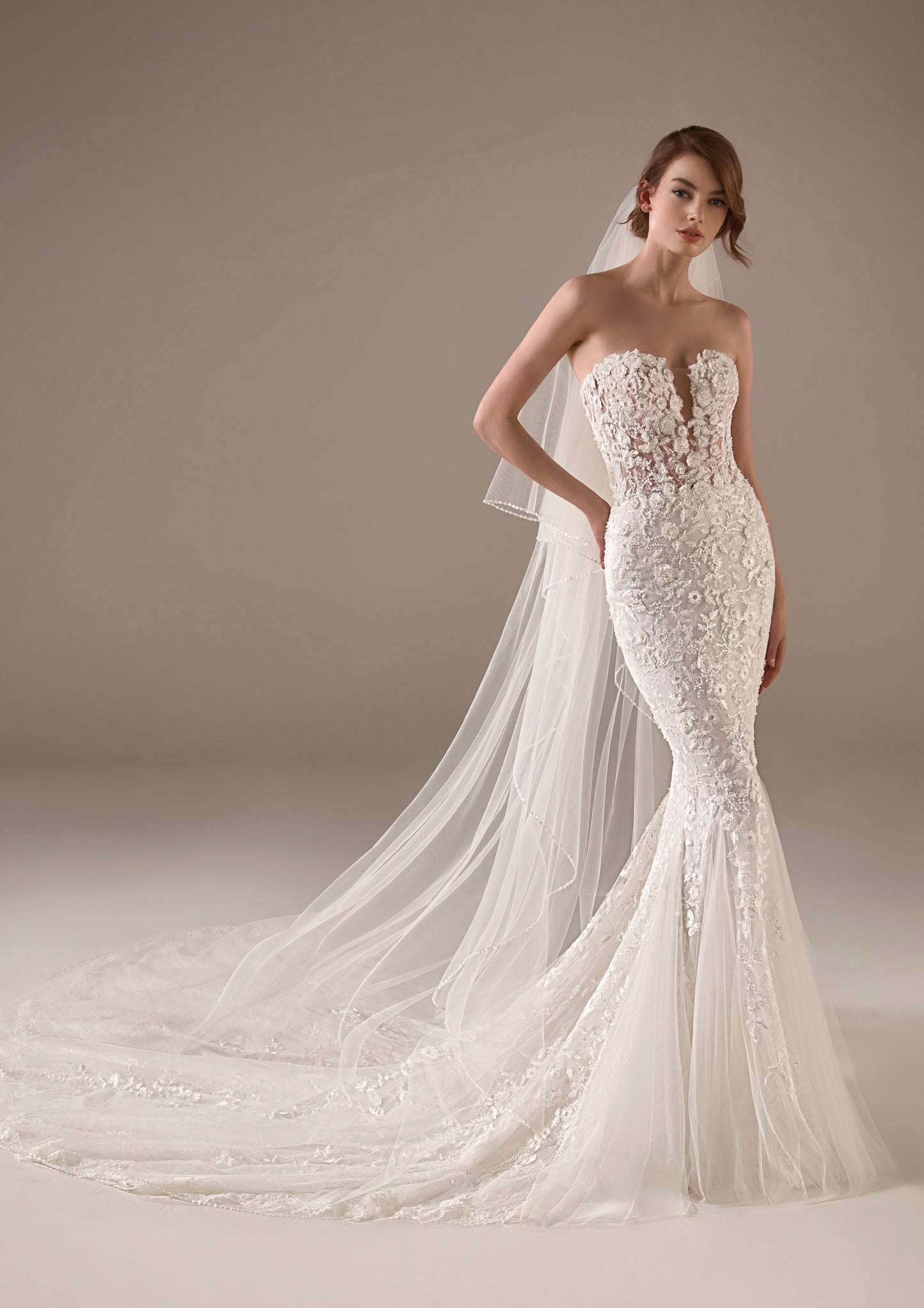Veil 2947