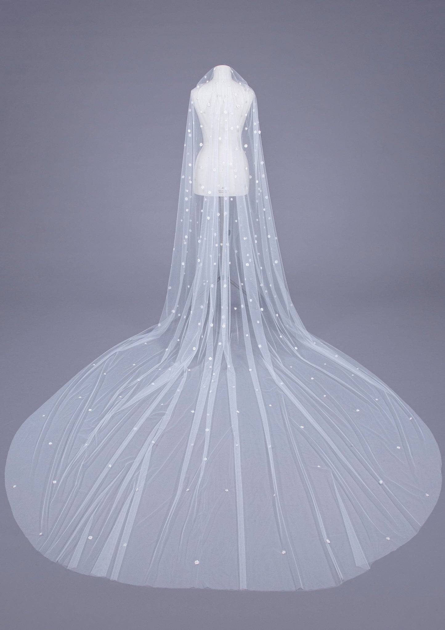 Veil Hopkins