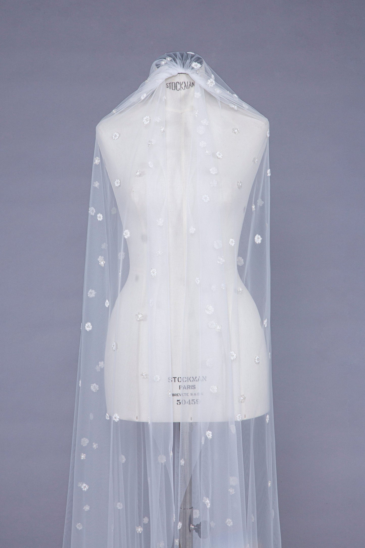 Veil Hopkins