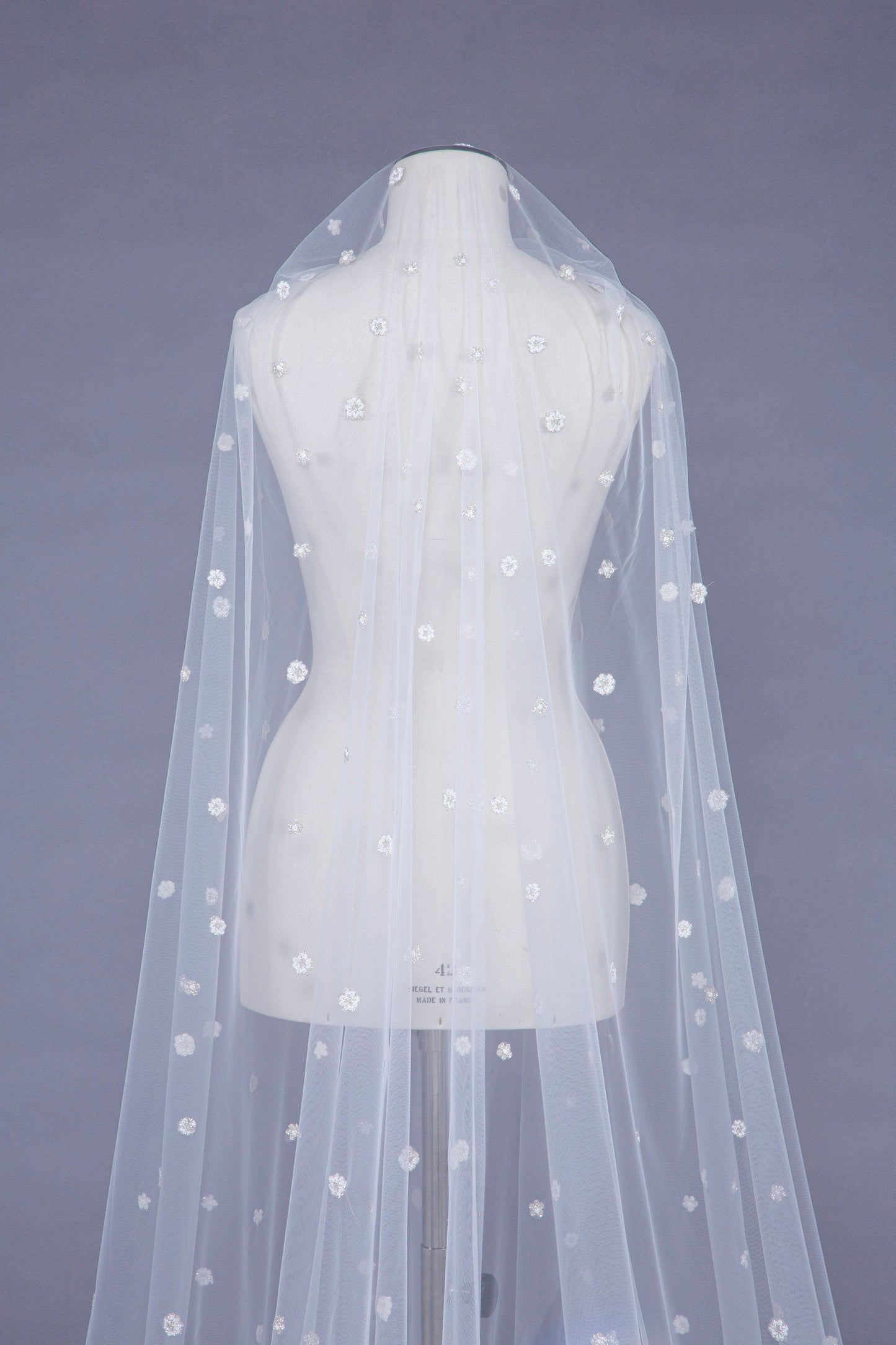Veil Hopkins
